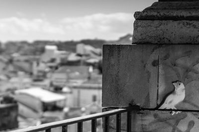 Close-up of bird perching on metal structure against sky