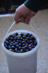 Midsection of person holding black olive in bowl