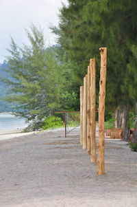 Wooden posts on beach against sky