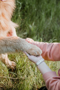 Pet love, dog is the best friend. german shepherd dog paws and human hand