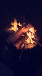 Close-up of bonfire at night