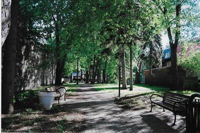 Empty footpath with trees in background