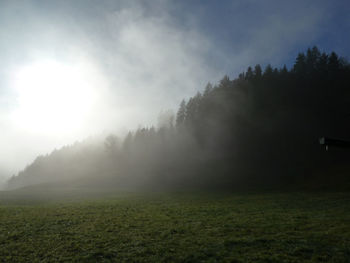 Trees on field against sky