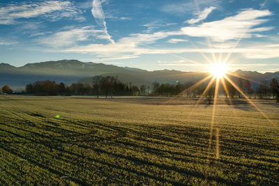 Scenic view of agricultural field against sky during sunset