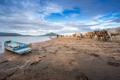 Panoramic view of beach against sky