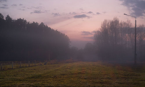 Trees on field against sky during sunset