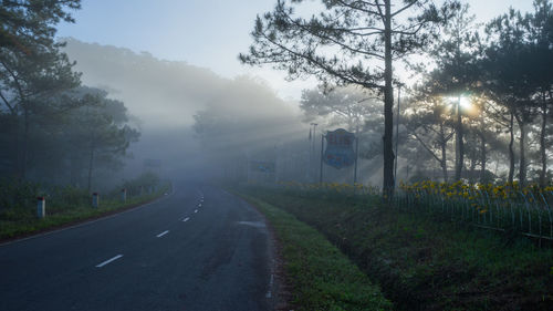 Road amidst trees against sky during foggy weather