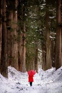 Rear view of woman with umbrella walking on snow in forest