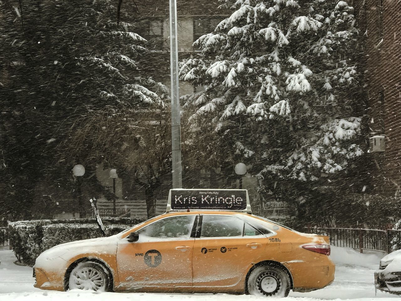 CAR ON SNOW COVERED TREE IN WINTER