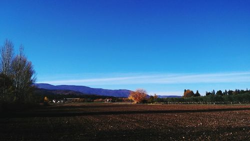 Scenic view of landscape against blue sky