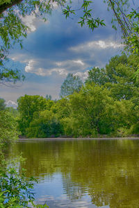 Scenic view of lake by trees against sky