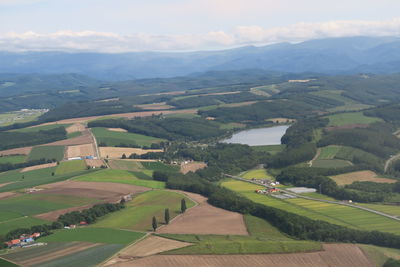 High angle view of agricultural field