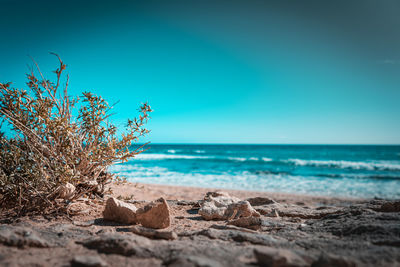 Scenic view of sea against clear blue sky