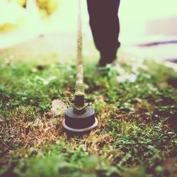Close-up of plant against blurred background