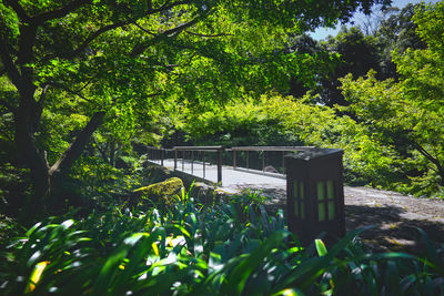 View of bridge in the forest