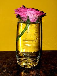 Close-up of beer glass on table