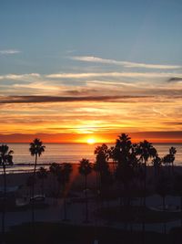 Scenic view of silhouette palm trees against orange sky