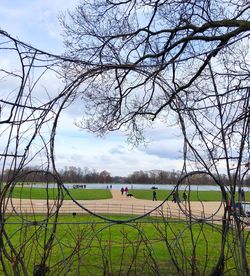 Scenic view of bare trees on field against sky