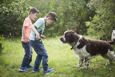 Twin brothers playing with dog on grass in back yard