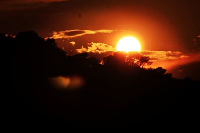 Silhouette trees against orange sky during sunset