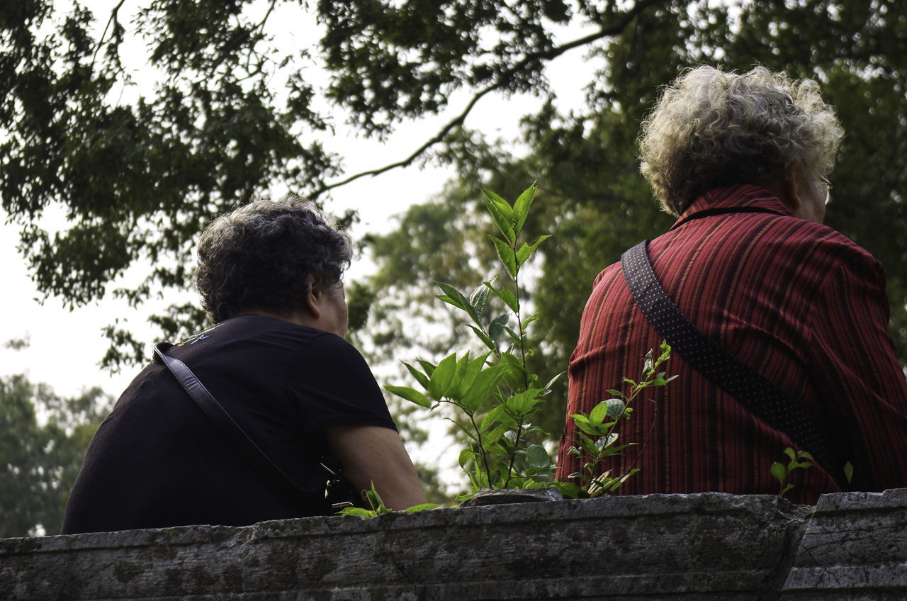 tree, lifestyles, rear view, leisure activity, casual clothing, standing, men, person, sitting, three quarter length, outdoors, focus on foreground, nature, day, full length, forest, waist up, growth