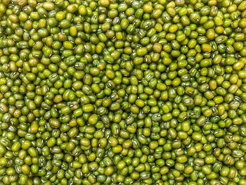 Full frame shot of mung beans