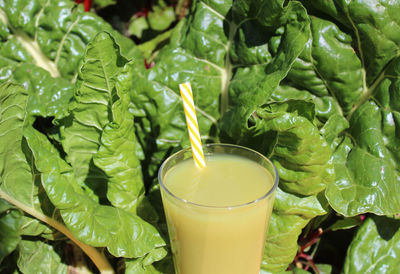 Close-up of drink on table