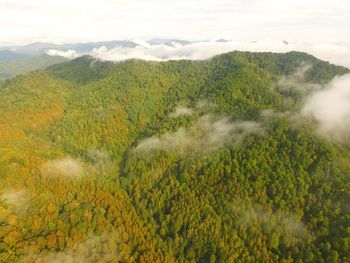 High angle view of trees on landscape against sky