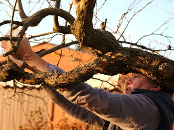 Portrait of man with cat on tree