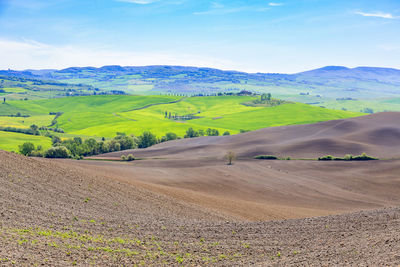 Scenic view of agricultural field against sky