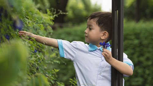 Cute boy plucking flower