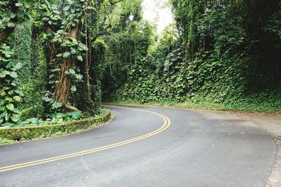 Road amidst trees in forest