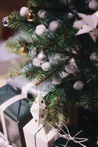 Close-up of christmas tree