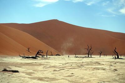 Scenic view of desert against sky