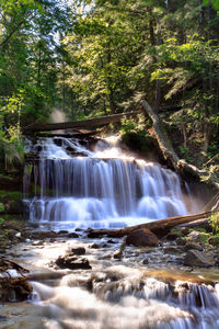 Scenic view of waterfall in forest