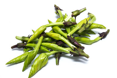 High angle view of chili pepper against white background