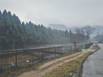 Scenic view of river by trees against sky