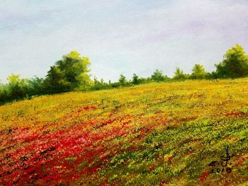 Scenic view of field against sky during autumn