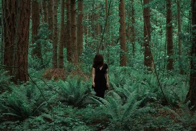 Young woman standing amidst trees in forest