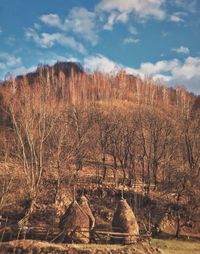 Bare trees on landscape against sky