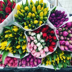 High angle view of tulips at market