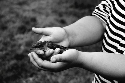 Midsection of child holding bird