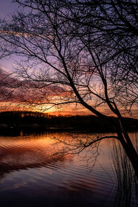 Silhouette tree by lake against sky during sunset