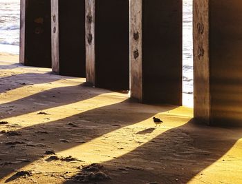 Sunlight falling on floor in building