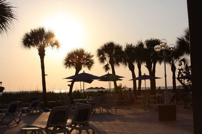 Palm trees by swimming pool at beach against sky during sunset