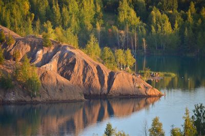 Scenic view of lake by trees in forest