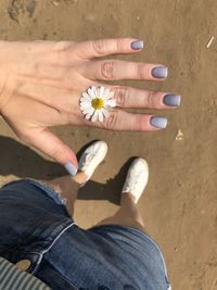 Cropped hand of woman holding flower outdoors