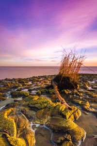 Close-up of rocks by sea against sky during sunset