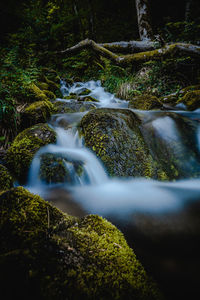 Stream flowing through rocks in forest