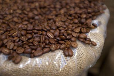 Close-up of coffee beans